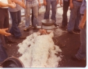 Cochrane Pictures 1977-1979